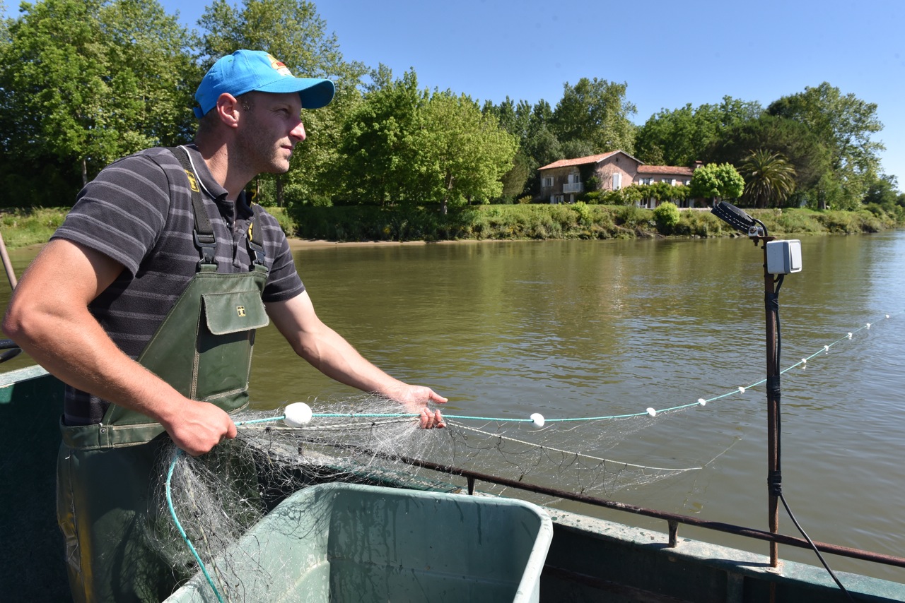 Pêcheur professionnel en eau douce de l'Adour